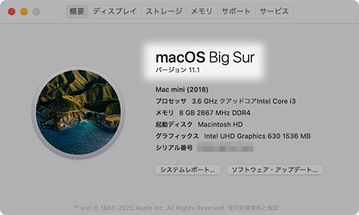 macOS Big Sur このMacについて