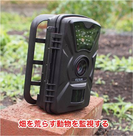 中華の８千円で買えるトレイルカメラ Victure