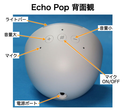 Echo Pop 背面