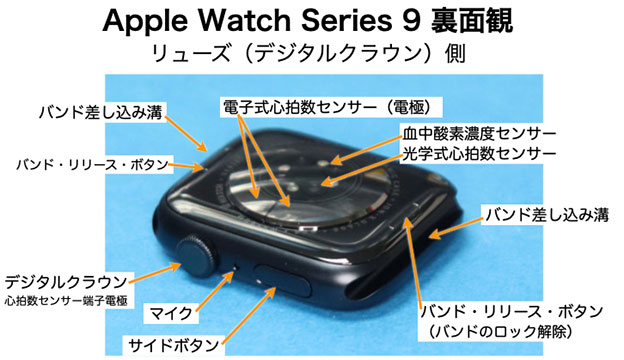 Apple Watch Series 9 45mm 裏面観