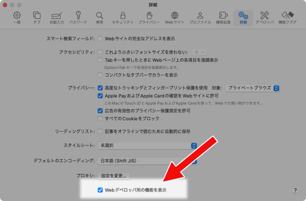 Safari 設定 詳細　Webデベロッパ用の機能を表示