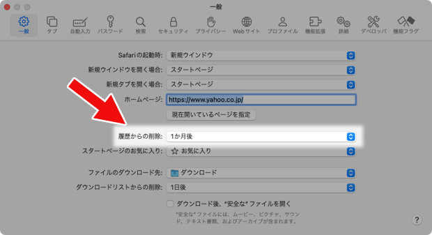 Safari 設定 一般 履歴からの削除