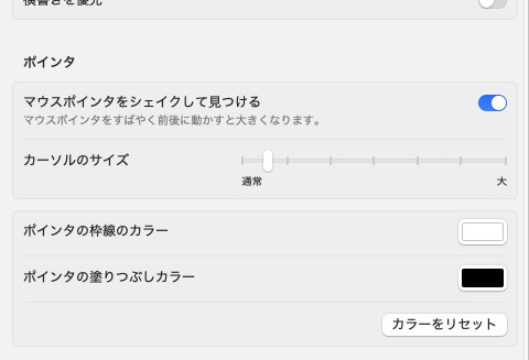 システム設定 アクセシビリティ ディスプレイ ポインタ
