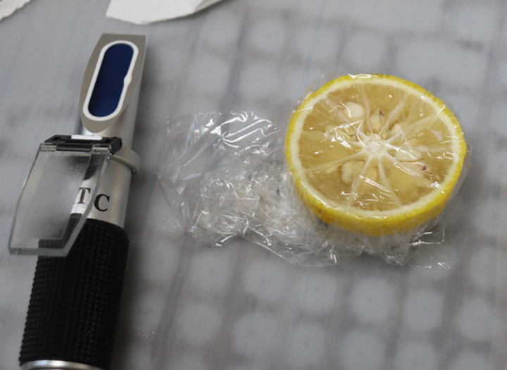 屈折式糖度計で ユズの糖度とクエン酸を測る